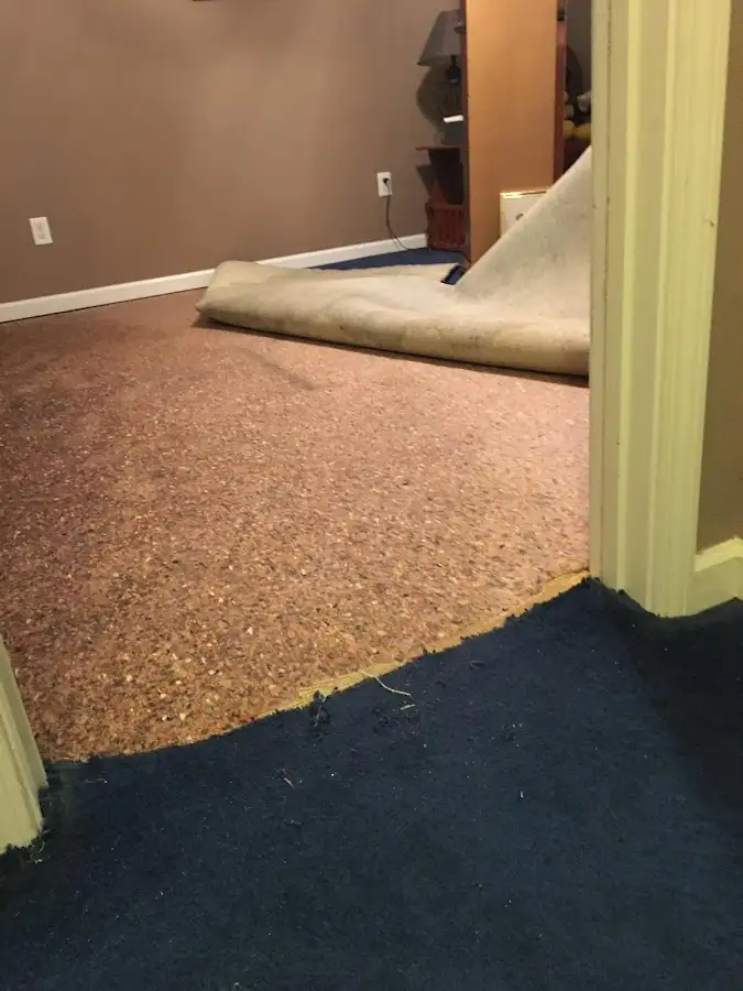 Carpet pad removal revealing water damage during Water Mitigation Services in Micco