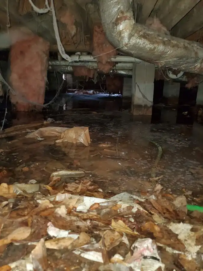 Crawl space flood assessment for Leak Detection & Repair in Micco