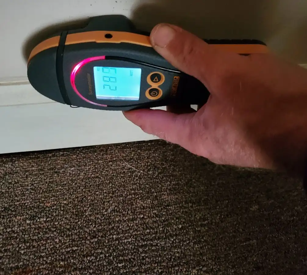 Moisture detection at baseboard during Sewage Cleanup & Sanitation in Micco